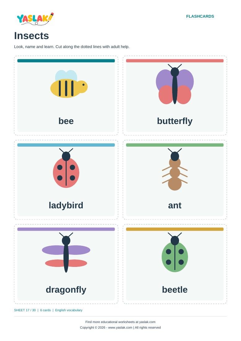 Insects Flashcards colour flashcard sheet with YASLAK logo and copyright